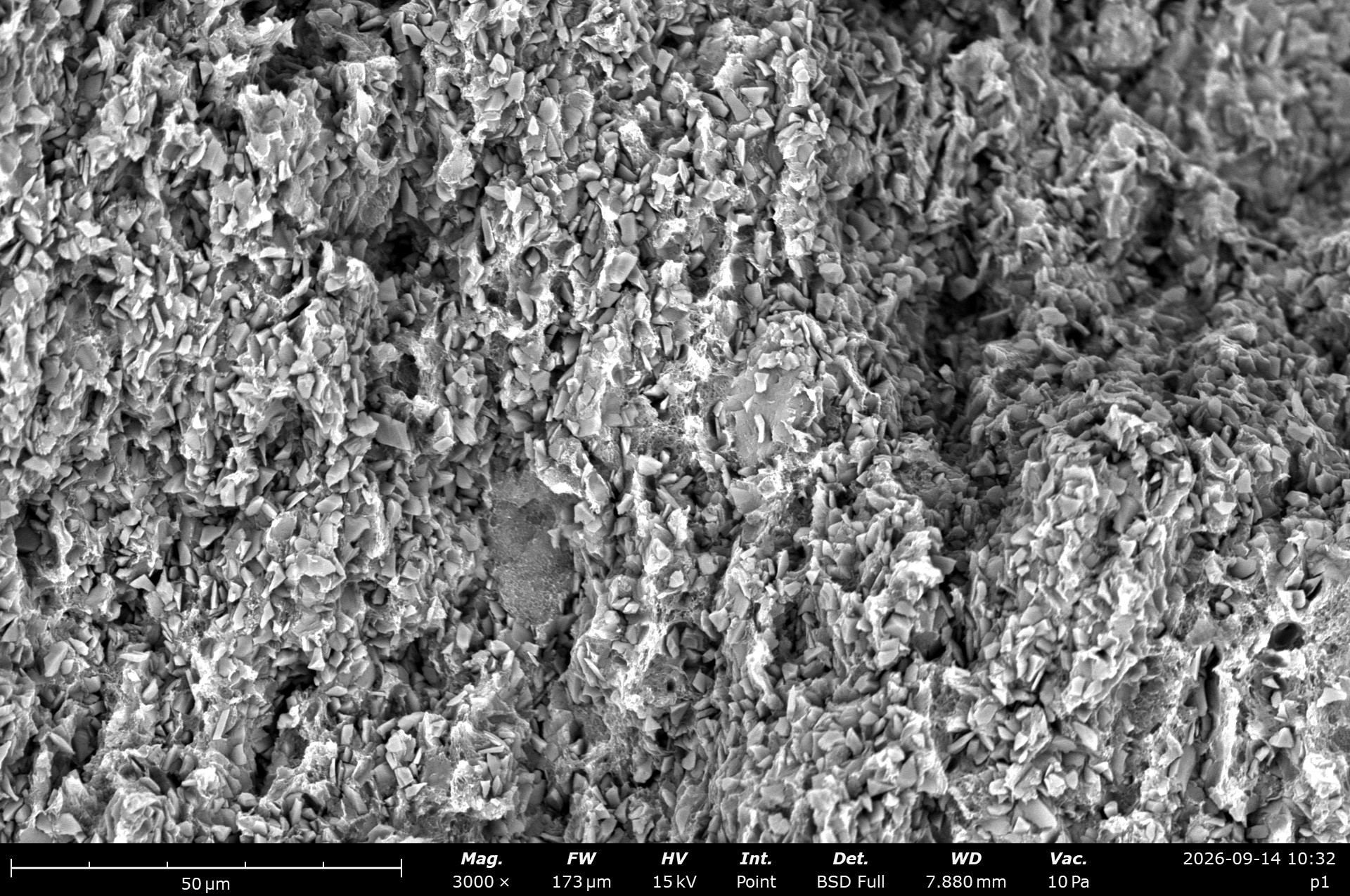 Specimen P1: Layered Formations, scanning electron micrograph 1