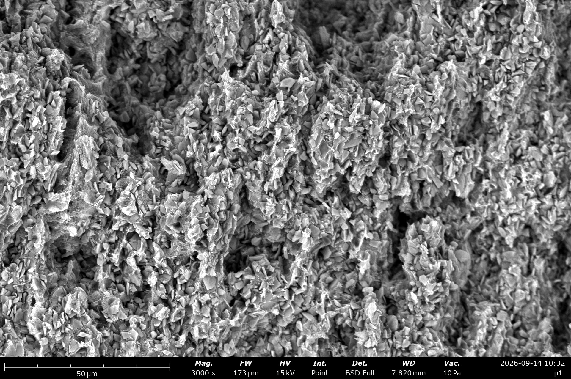 Specimen P1: Layered Formations, scanning electron micrograph 2