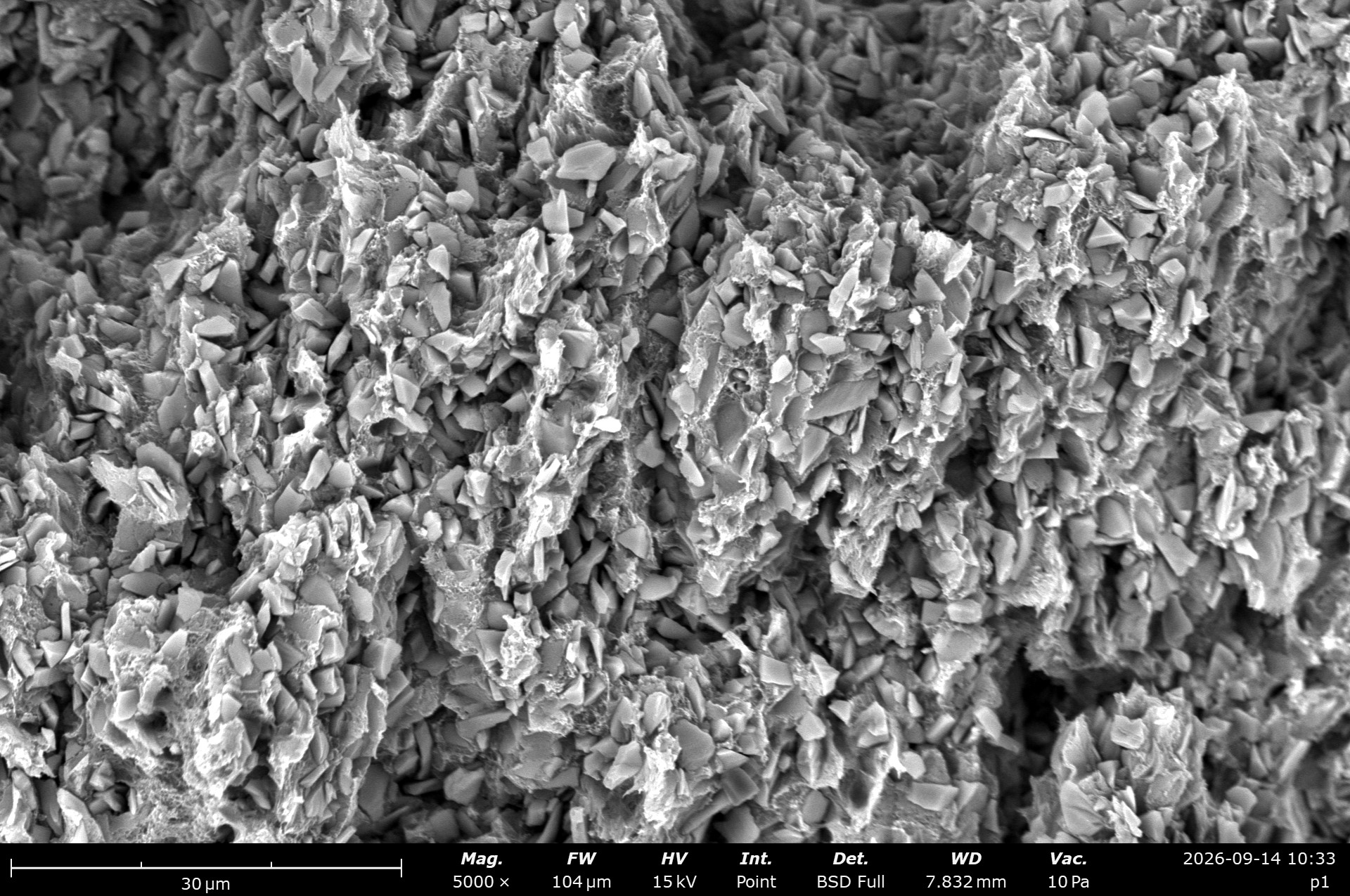 Layered formations in a scanning electron micrograph