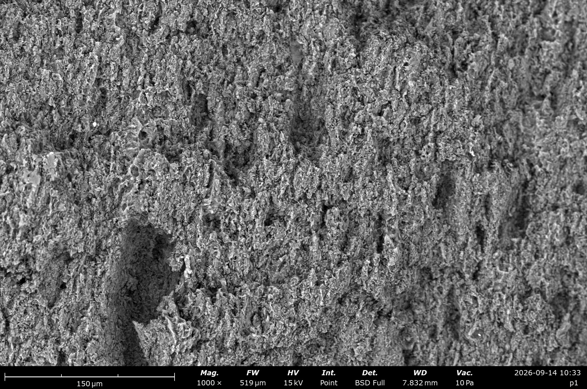Specimen P1: Layered Formations, scanning electron micrograph 4